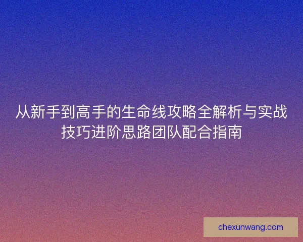 从新手到高手的生命线攻略全解析与实战技巧进阶思路团队配合指南