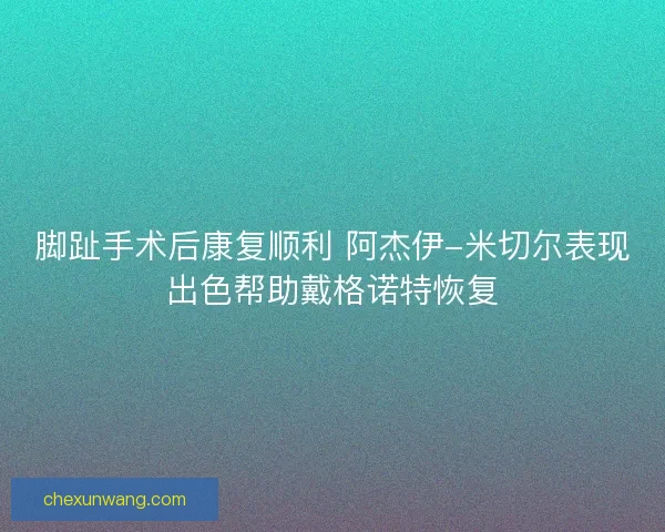 脚趾手术后康复顺利 阿杰伊-米切尔表现出色帮助戴格诺特恢复